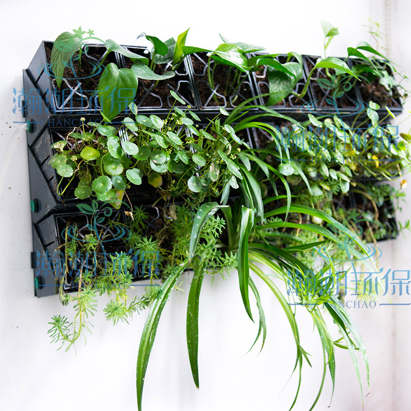 Three-dimensional green wall vertical wall planting decoration green plant wall flowers green plants