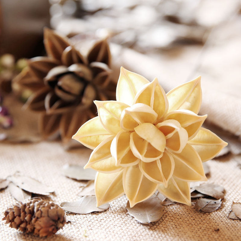 ��ױ��Ȼľ��������