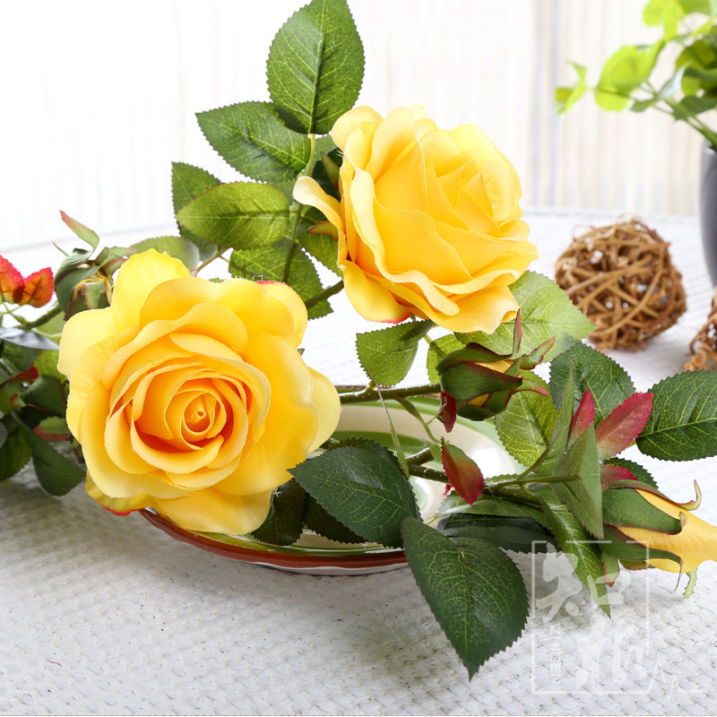 ֪�����滨MG-089