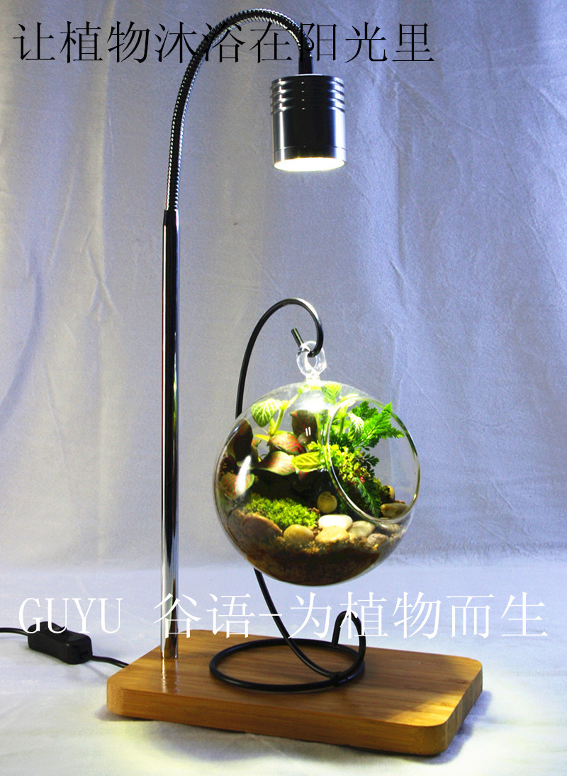 Moss bottle lamp Taco grass lamp Micro landscape lamp Fish tank lamp Plant growth lamp GUYU lamp