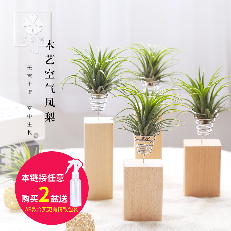 ����������ľ�տ�������