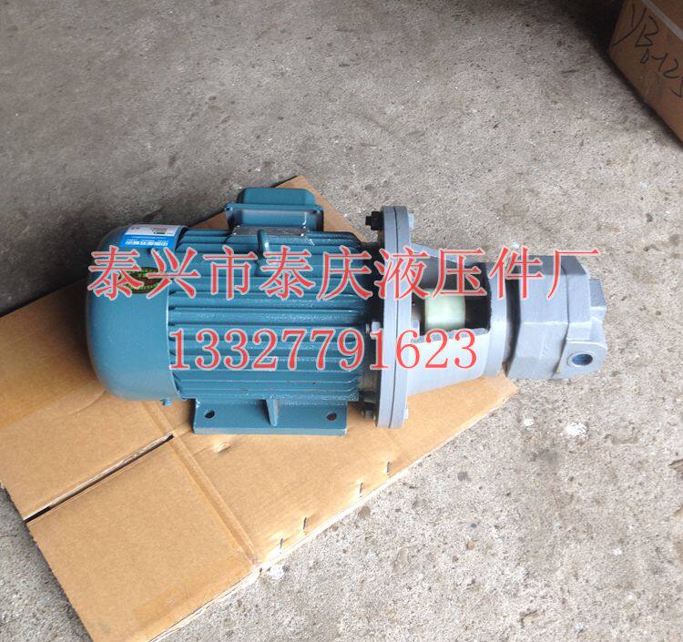 Cycloid rotor gear oil pump motor assembly oil filter car BB-B4 B6 B10JZ B35 Accessories machine bed