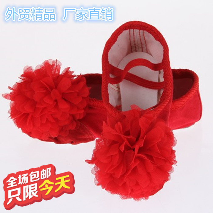 Solid Flowers Soft-bottom Adults Children Dance Shoes Ballet Shoes Latin Practice Gymnastics Cat Paw Shoes New