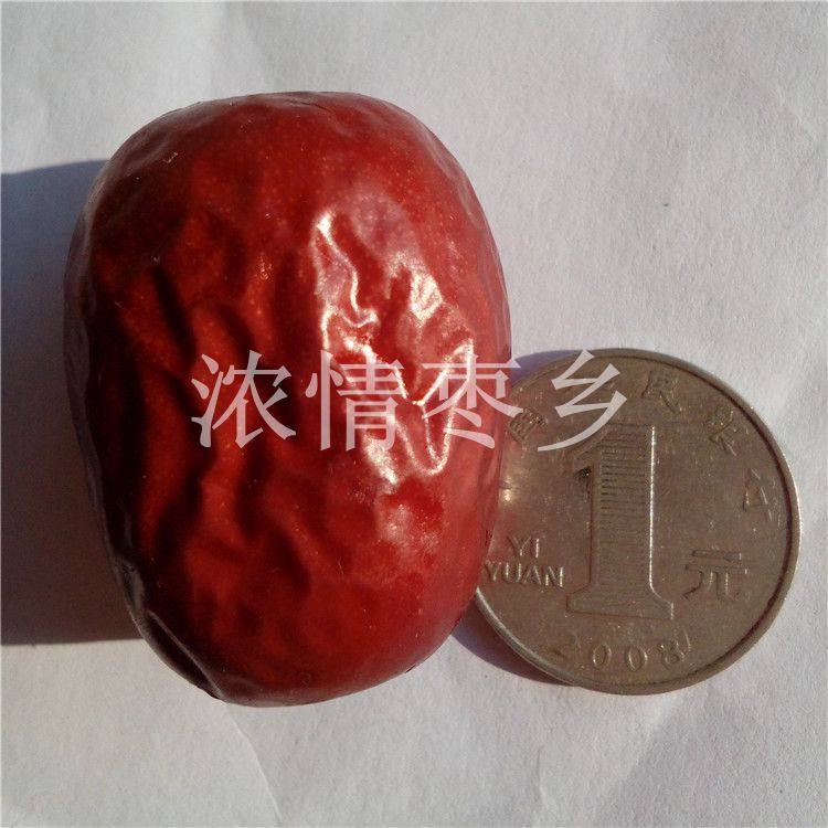 Xinjiang Hetian Jujube batch jade jujube Jun jujube snack Jujube snack porridge jujube 500g thin skin and thick meat