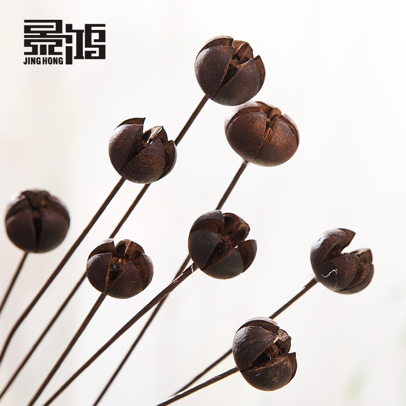 ����ƺ�Ц/װ�λ�