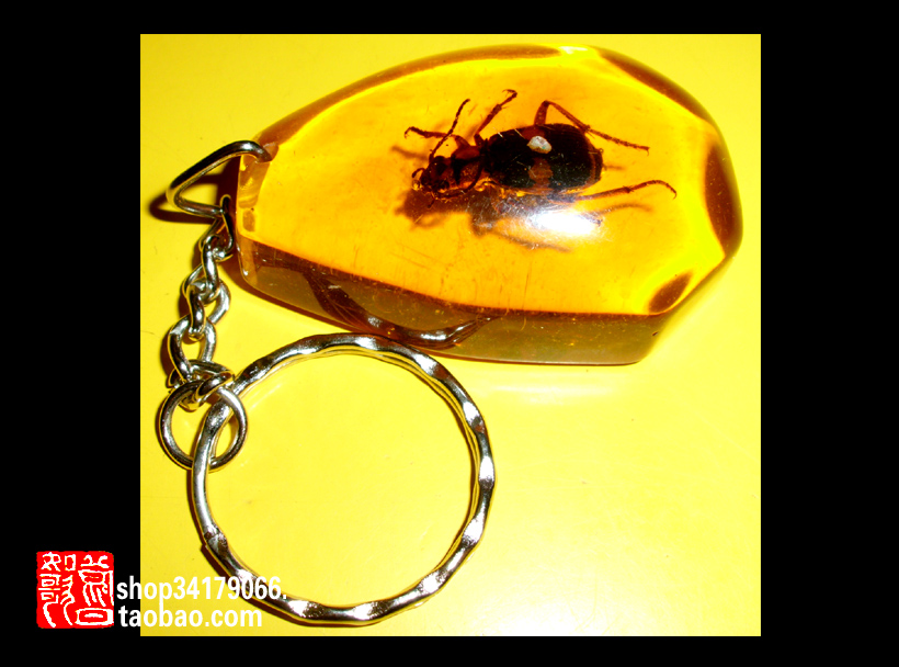 (Business gift souvenirs) High-end artificial amber insect keychain (Little Beetle 001)