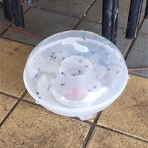 Flyer fly trap fly trap fly trap fly trap fly trap fly cage