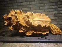 Wood root carving factory Cliff cabbage return to the living room Office Store Accessories
