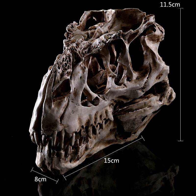 Tyrannosaurus rex dinosaur skull indoor furnishings personalized specimens resin skull exquisite furnishings overseas hot sales