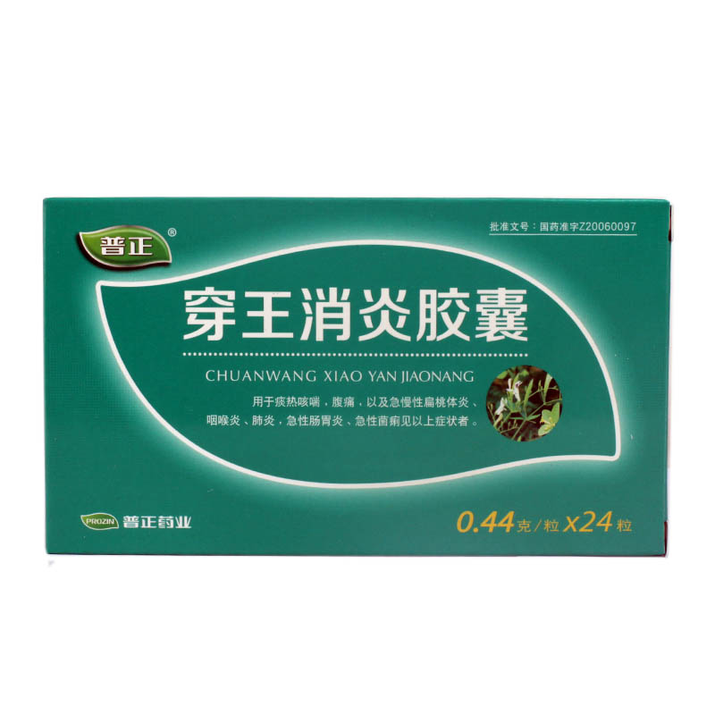 普正 穿王消炎胶囊 0.44g*24粒/盒