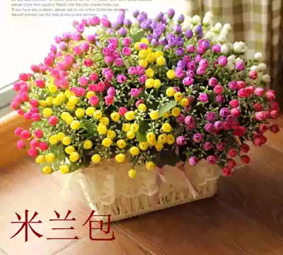 5-pronged Milan bracts 30 flowers Korean pastoral simulation flowers silk flowers decorative flowers Living room bedroom dining room flower arrangement pot flowers