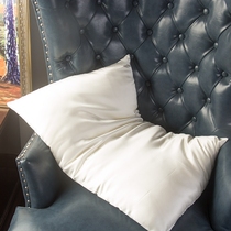 Fried chicken soft and comfortable mulberry silk beauty pillow core single silk pillow liner 100 mulberry silk filling