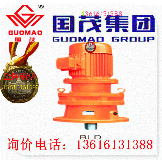 Sales Jiangsu Guomao reducer group cycloid reducer vertical BLED20-99-1 1