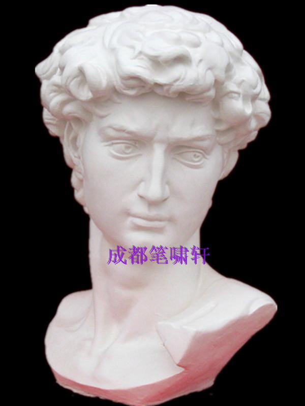 Fine art supplies plaster like David plaster statue plaster head plaster teaching aids David 680x450 mid-number