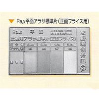 R a μFlat Standard Sheet of the Standard Sheet (Positive Frontal Side of the Frontal Side of the Frontal Side) 1 Japanese Metal Electroforming