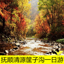 (Shenyang K-up) Fushun Qingyuan Qingyuan Qigou 1 Day Tours Walk Seven Colorful Suspension Bridge Bounty Natural Waterfall