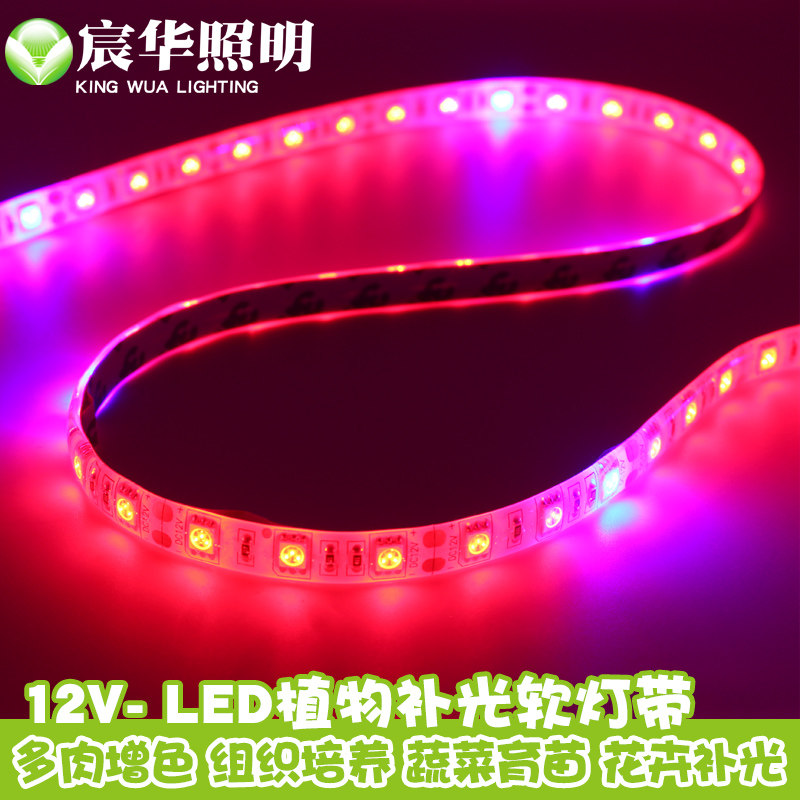 Chenhua LED plant growth fill light with 12V voltage indoor flower succulent vegetable seedling fill light soft light strip
