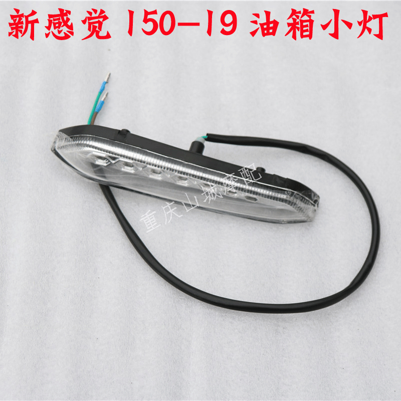 New feeling locomotive 150-19LED small lamp oil case light fog light white light travelling light original fitting accessories