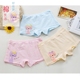 Đồ lót bé gái bằng vải cotton 10/11/12/13/14/15 tuổi đồ lót nam jockey Võ sĩ quyền Anh