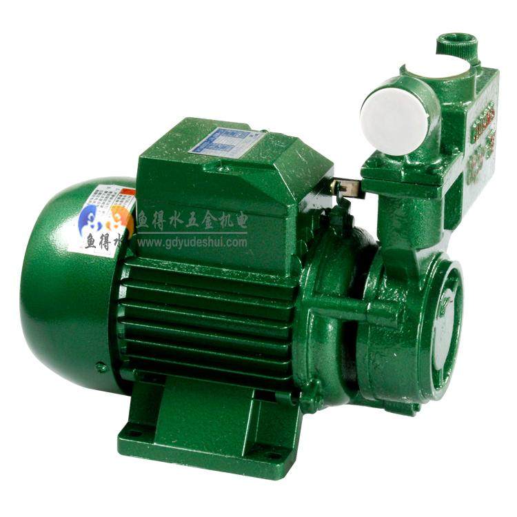 Wide-one 1DBZ65 self-priming pump Home pump 380V Water pump 220V Booster Pump Guangzhou First Water Pump Plant
