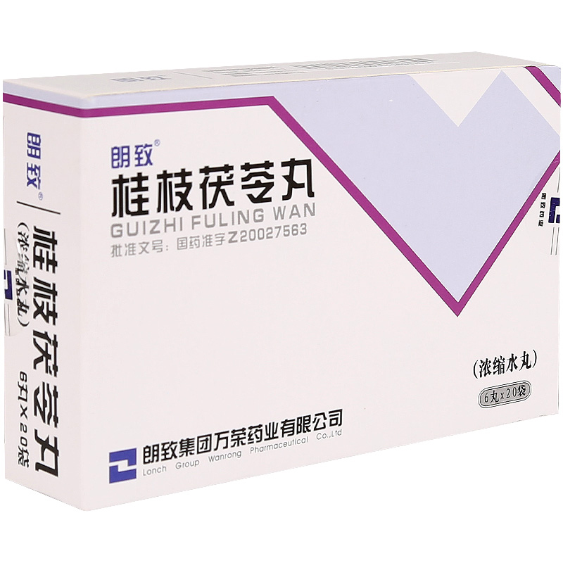 朗致 桂枝茯苓丸（浓缩水丸） 0.22g*120丸/盒