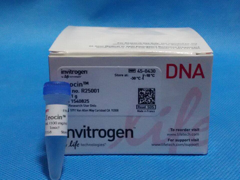 Scientific reagents Zeocin bollamicin 125mg 1 25ml invitrogen boramycin R250-01
