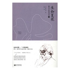 Иностранные стихи