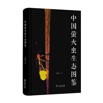 中国萤火虫生态图鉴 正版图书 付新华