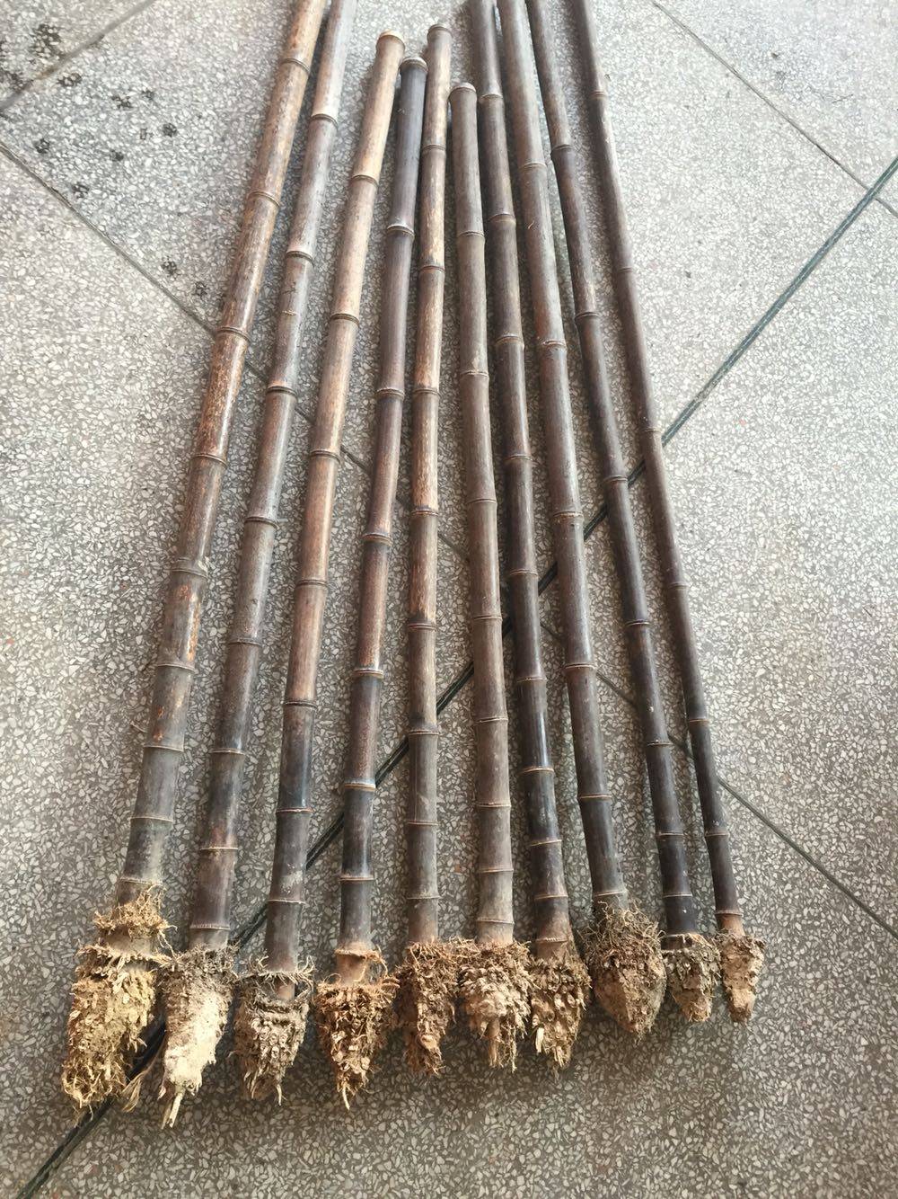 Purple Bamboo with a root flute material-Taobao