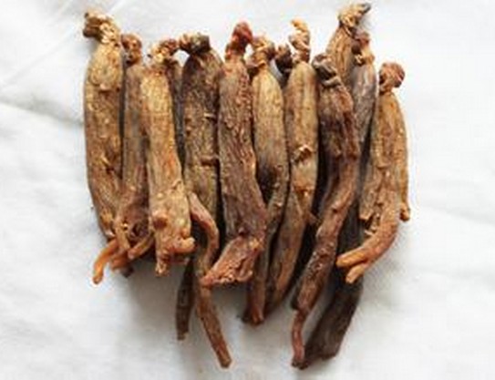 Red Ginseng Long White Hills Without Sugar Red Ginseng Strips Authentic Northeast Whole Branches Ginseng 500g Loaded Wild Mountain Ginseng high Lie