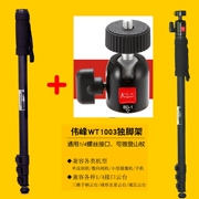 Weifeng WT1003 đơn pod camera SLR monopod đứng 1003 alpenstocks - Phụ kiện máy ảnh DSLR / đơn