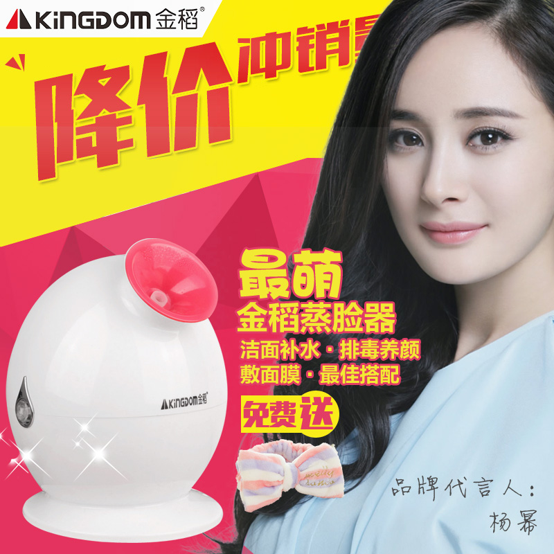 金稻蒸脸器美容仪补水保湿蒸面器家用热喷雾机离子蒸面机补水仪器