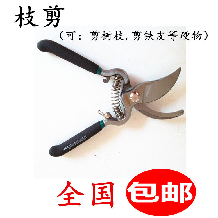 园艺剪刀 修枝剪 粗树枝剪修花剪刀 花木修剪工具粗枝剪 枝剪包邮