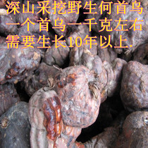 Natural dry goods Polygonum multiflorum multiflorum root. Polygonum multiflorum multiflorum root is a good product for blood production and nourishing. It is excavated from deep mountains.
