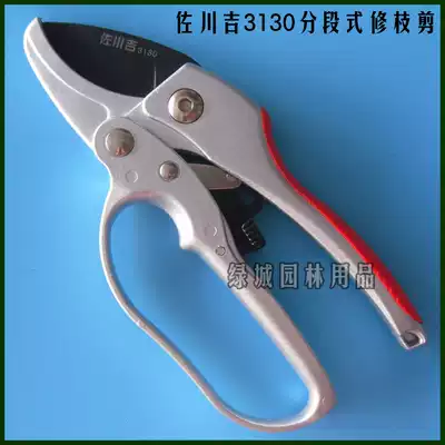 Sagawa Ki 3130 Sectional Fruit Tree Scissors Garden Scissors Straw Spicing Fruit Shears Pruning Shears