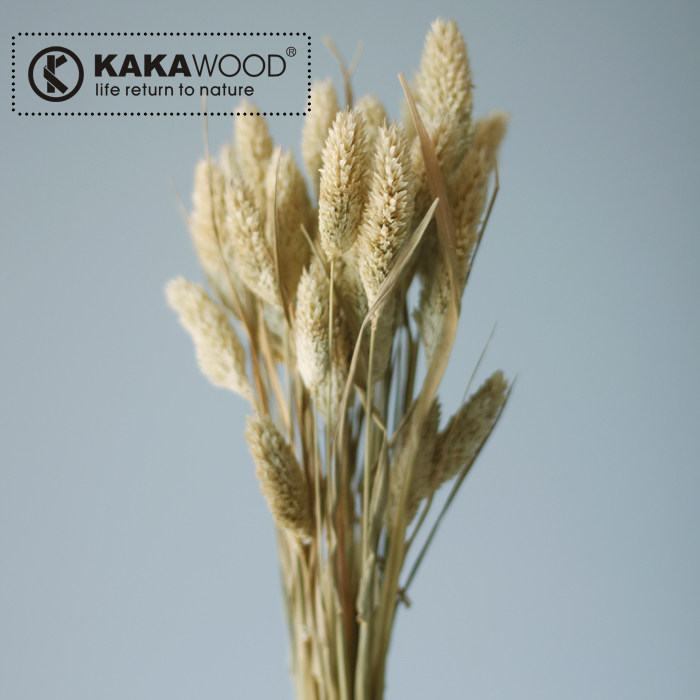 kakawood�Ҿ���װ��Ʒ��Ȼ�ɻ�����֦