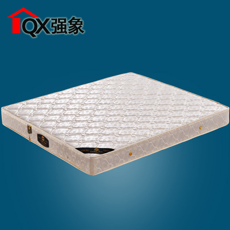 ǿ��ϯ��˼���ɴ���CHD-002