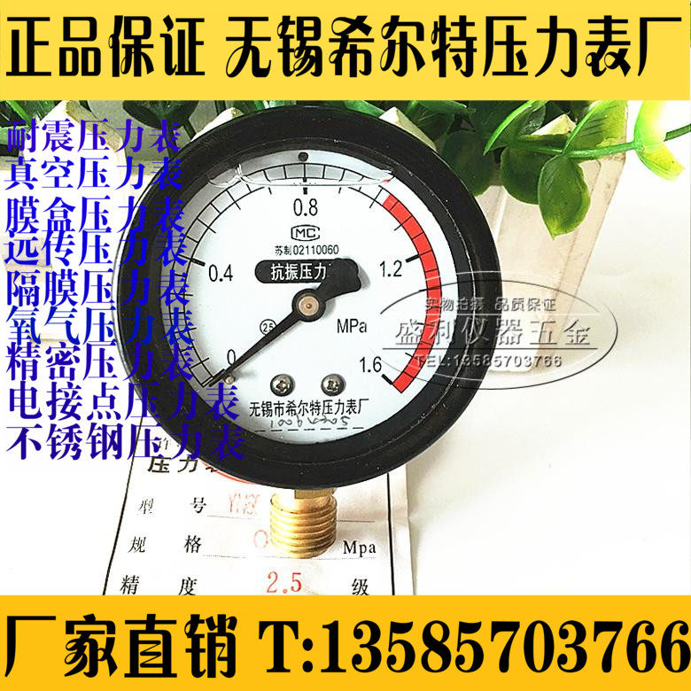 Wuxi hilt shock resistant pressure meter YN60 0-1 6MPA radial screw teeth M14 * 1 5 full specifications
