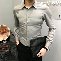 Shirt men long sleeve autumn business leisure slim dress cotton youth base mens professional wedding Korean shirt
