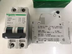 Автоматический выключатель 法国产施耐德海事专用带ul csa认证断路器c60 2p c25a库存特价