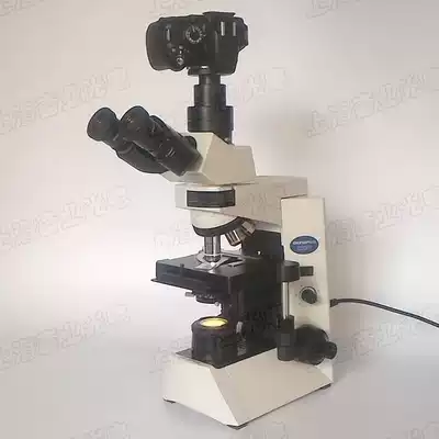 OLYMPUS OLYMPUS CX41 three-eye biological microscope with monocular camera transfer interface for monocular Photography