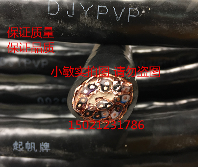 Shanghai Sail Wire Computer Cable DJYPVP6 * 2 * 0 75 75 Double-screen blinding DJYVP6 * 2 * 0 75