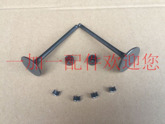 Jinan Qingqi Tibetan mastiff off-road QM200GY QM200J valve valve oil seal valve lock clip card fast combination