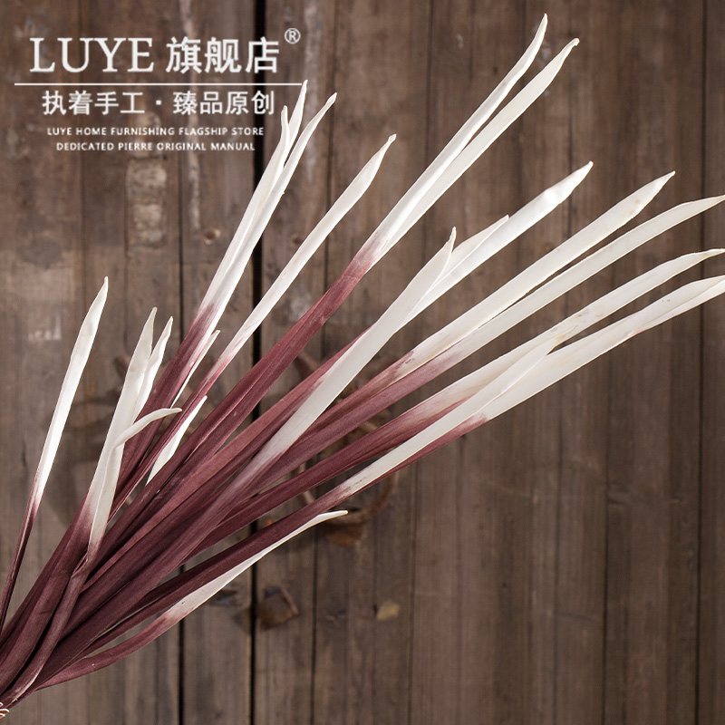 luye���滨��װ�λ�