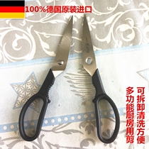 German Original Imported Double Standings Kitchen With Cut Kitchenette Multipurpose Scissors Cut in stainless steel Stainless Steel Detachable