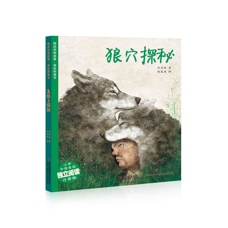 狼穴探秘(注音版) 正版图书 沈石溪