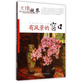 正版包邮历练生命的人生卷：有风景的窗口正品图书书籍