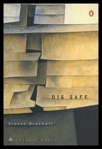 【预售】Dig Safe