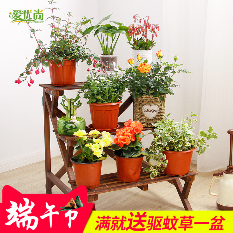 ������̼������ʵľ���ζ�㻨��