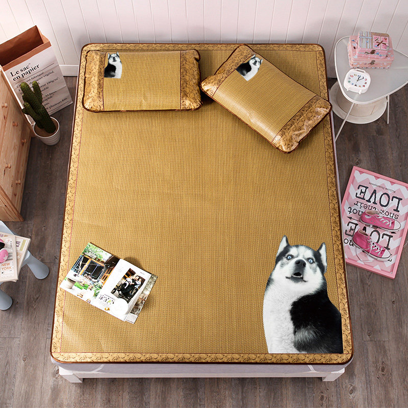 ��粹��ʿ�ͨ����˫��ϯ��UL